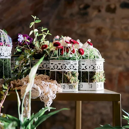 Tenuta Il Poggio - Luxury 4* Felegara